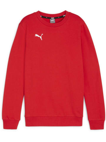 Puma Pullover "TeamGoal CasuaLongsleeve Crew Neck Sweat Jr" in Rot