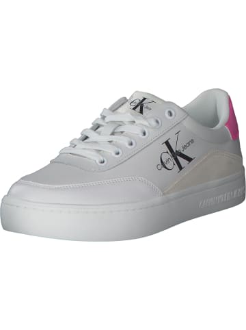 Calvin Klein Sneakers Low in Pink