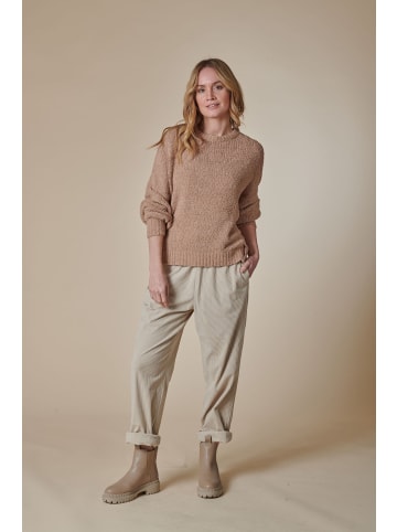 ZHRILL Sweatshirt ZHLUANA YU APRICOT in APRICOT
