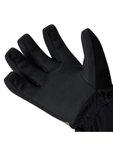 Dare 2b Skihandschuhe Freeride Glove in Oliv