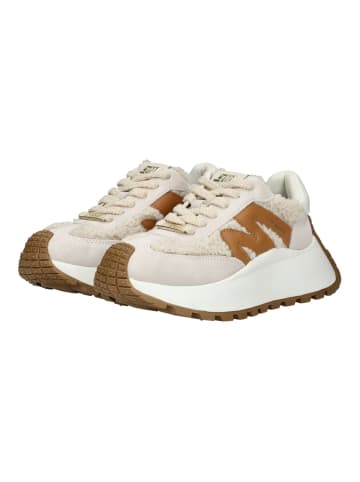 Steve Madden Sneaker in Bone