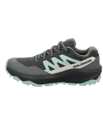 SALOMON Sneaker in grau