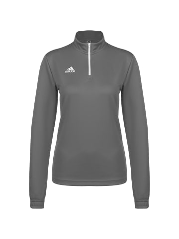 adidas Performance Trainingspullover Entrada 22 in grau