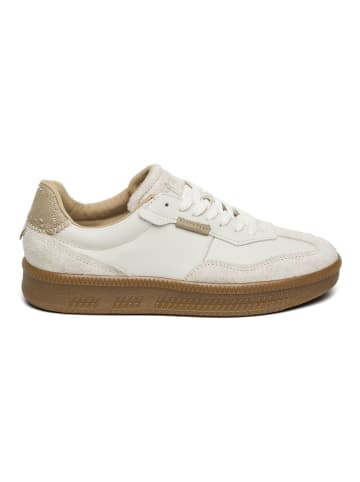 Steve Madden Sneaker in Offwhite