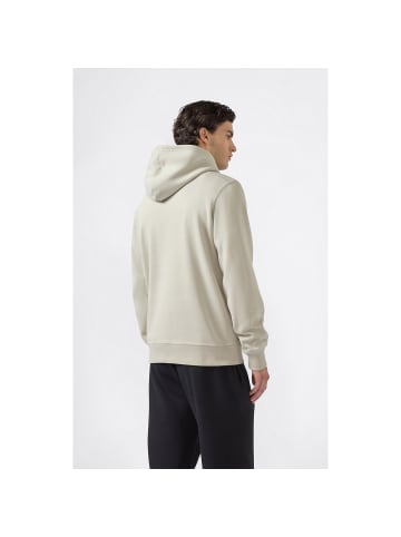 Champion Longsleeve Hooded Sweatshirt in Beige801