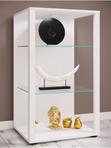 VCM  Holz Glas Stand Vitrine Sammelvitrine Glasol XL in Weiß