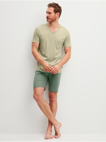 Calida Pyjama in tea green