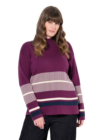 Ulla Popken Pullover in waldbeere