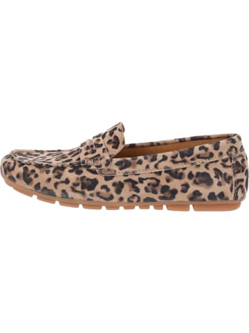 Palado Slipper in leo