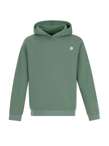 Protest " PRTRoman in Aspen green