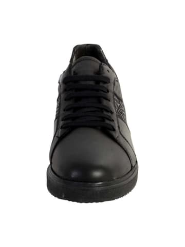 Redskins  Terra Sneakers Schwarz