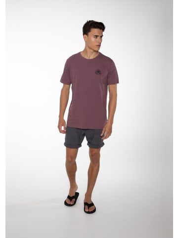 Protest " FAN in Asphalt