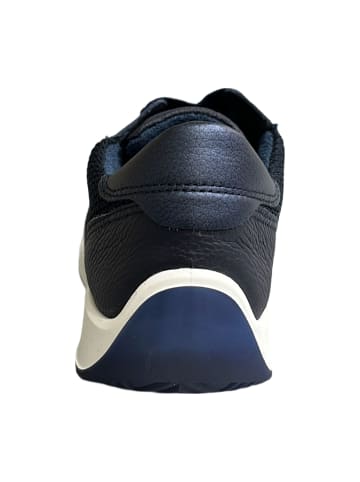 ara Sportliche Schnürschuhe in Blau