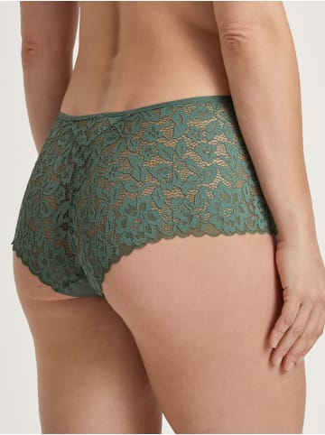 Calida Panty in laurel green
