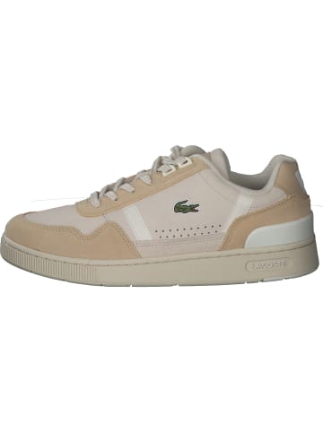 Lacoste Schnürschuhe in NAT / OFF WHT