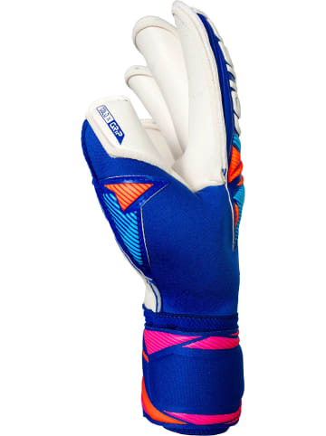 Reusch Torwarthandschuhe Attrakt Gold X Roll Finger in 4126 sharp blu/wht/shock orng