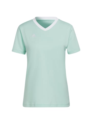 adidas Performance Fußballtrikot Entrada 22 in mint / weiß