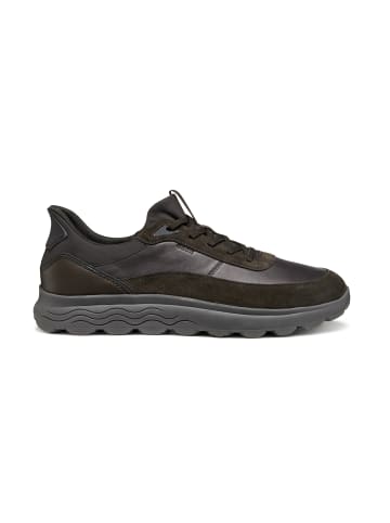 Geox Sneakers Low U Spherica Plus A in braun