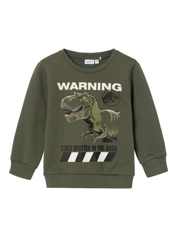 name it Sweatshirt NMMNAT JURASSIC in beetle