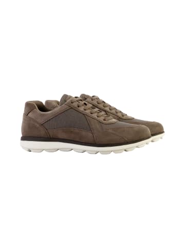 Geox Spherica Leder-Sneakers Grau