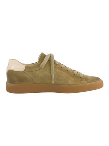 Paul Green Sneaker in Grün/Gold