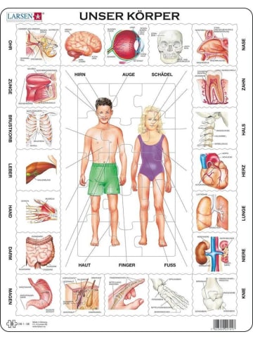 Raute Media Unser Körper (Kinderpuzzle)