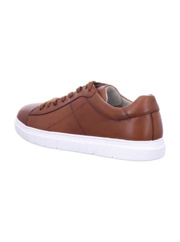 Pius Gabor Sneaker in braun