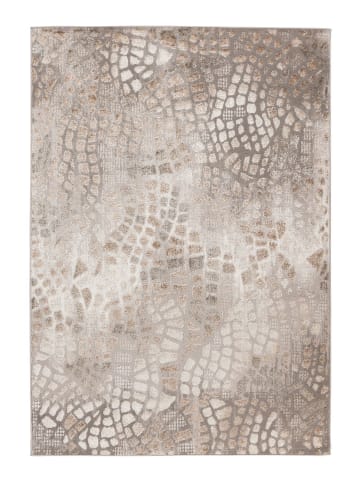 Teppich Boss Kurzflor Teppich Carlotta 225 Silber / Beige - Silber / Beige