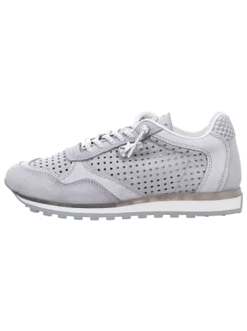 Cetti Sneaker Low in grau