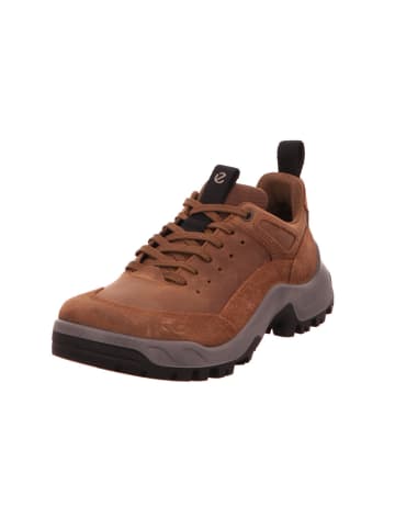 Ecco Outdoorschuh in braun