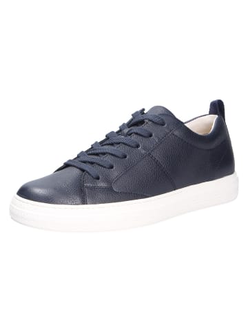 Paul Green Sneaker in blau