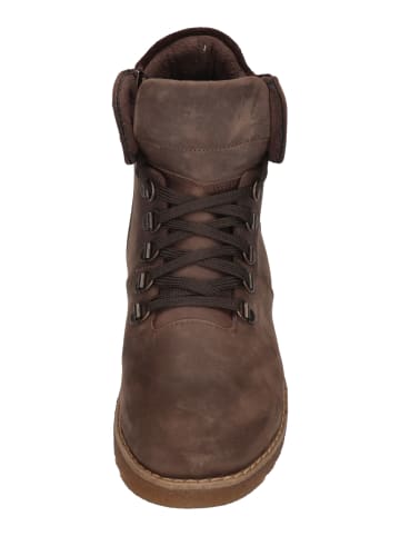 Andrea Conti Stiefeletten 0060231-795 in braun