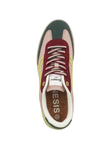GENESIS Sneaker low G-Volley Crasy Mix in multicolor