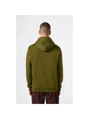 Champion Longsleeve Hooded Sweatshirt in Oliv103