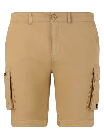 Cruz Shorts Monsoon in 1138 Kelp