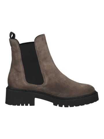 Högl Stiefelette in Taupe