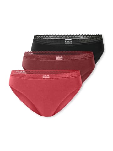 Schiesser Rio Slip 95/5 Modern Cotton in Schwarz / rot