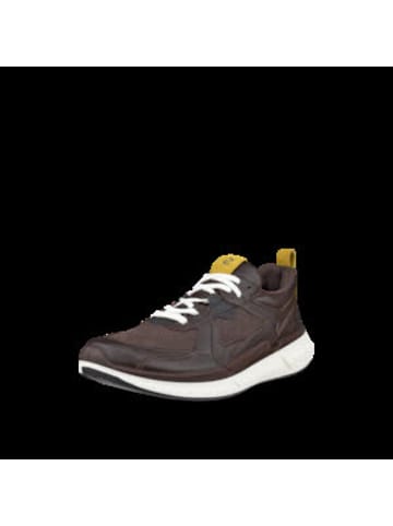 Ecco Schnürschuh in braun