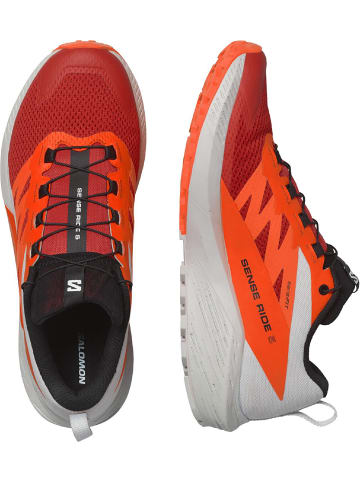 SALOMON Laufschuhe SHOES SENSE RIDE in Orange