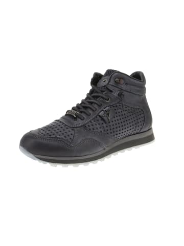 Cetti Sneaker high C-1048 EXP EXP INV25 in Blau