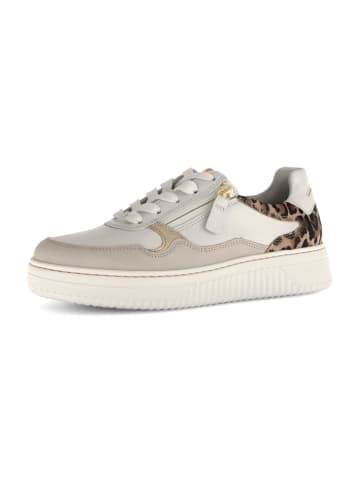 Gabor Comfort Sneaker Low in Beige