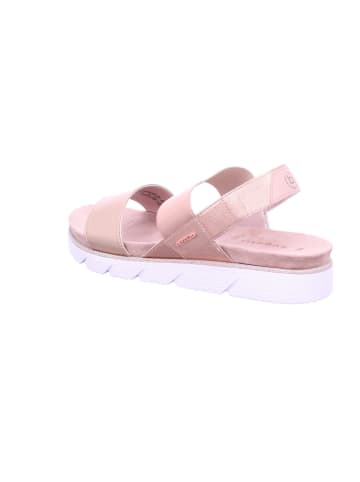 Skechers Sandale in schwarz