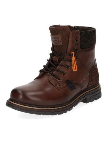 DOCKERS Stiefelette in Schoko