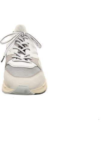 Floris van Bommel Sneaker in weiß