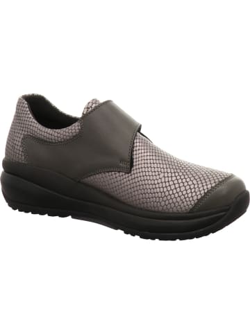Joya Schnürschuh in grau