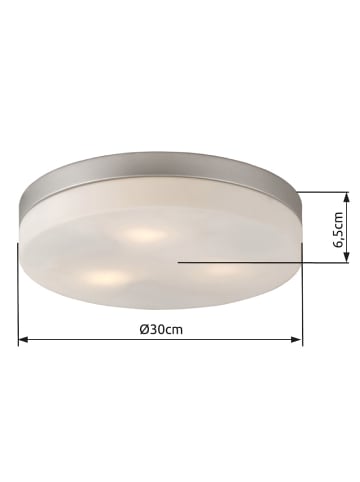 Globo lighting Deckenleuchte "OPAL" in silver