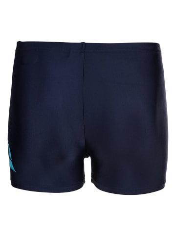 Arena Lettering Swim Shorts in Dunkelblau
