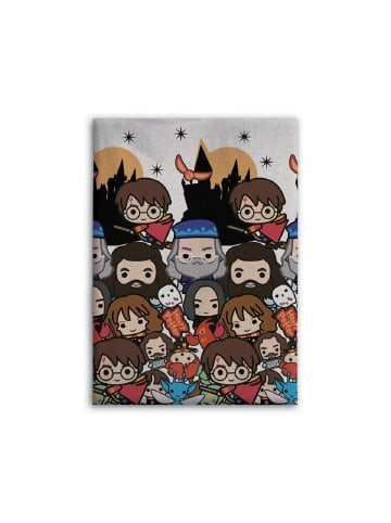 Harry Potter Harry Potter Fleecedecke Gemütlich und Magisch 140 cm x 100 cm in Mehrfarbig