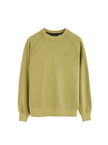 Polo Club Sweatshirt RIGBY GO SWEAT U GD VO in Blattgrün