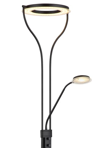 Globo lighting Deckenfluter "EBRO" in black